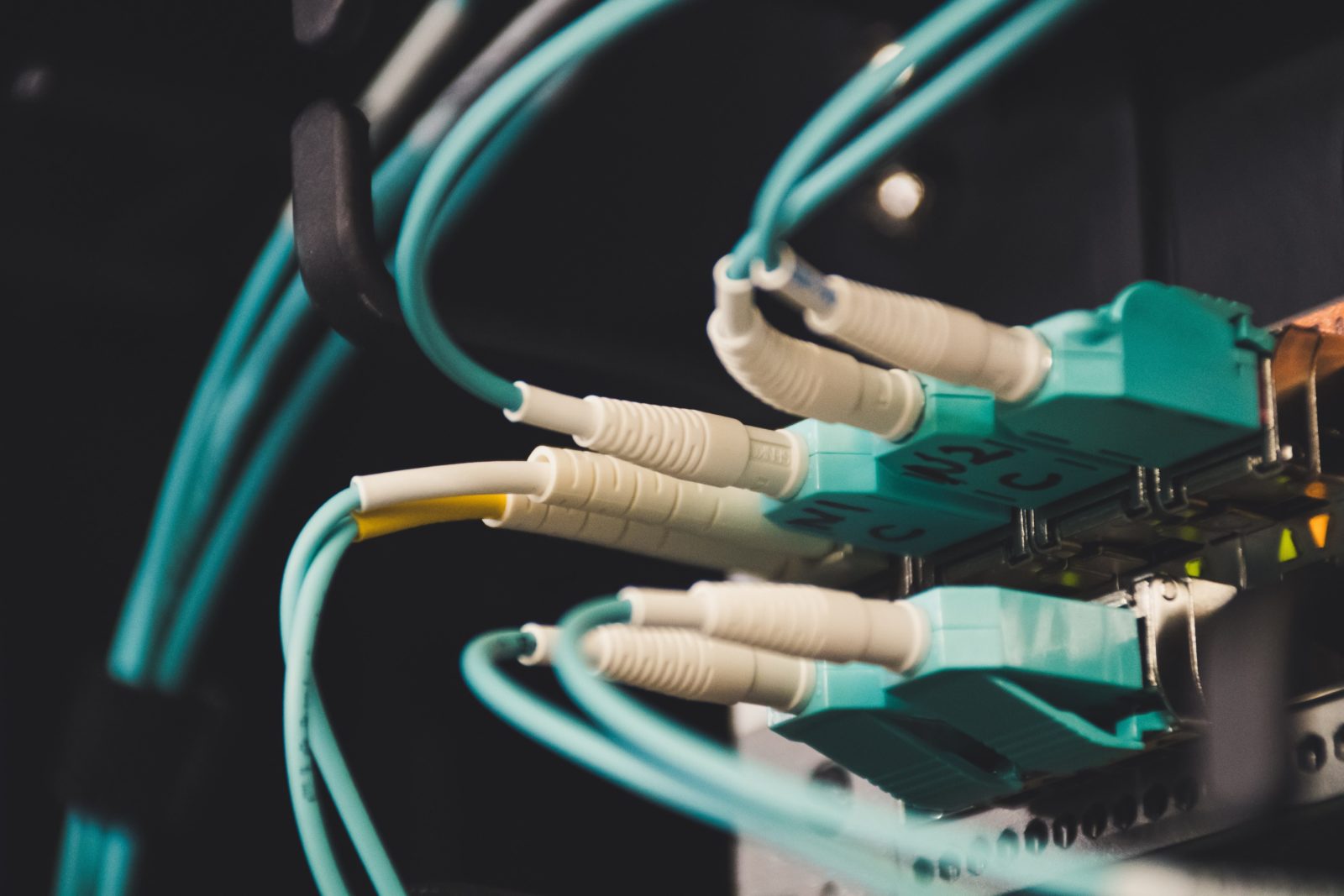 Close-up of neatly organised data cables in a commercial network installation