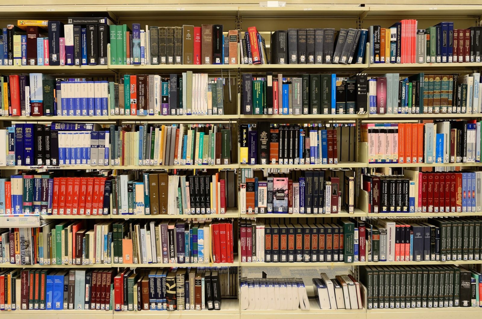 New school library interior with shelves filled with books