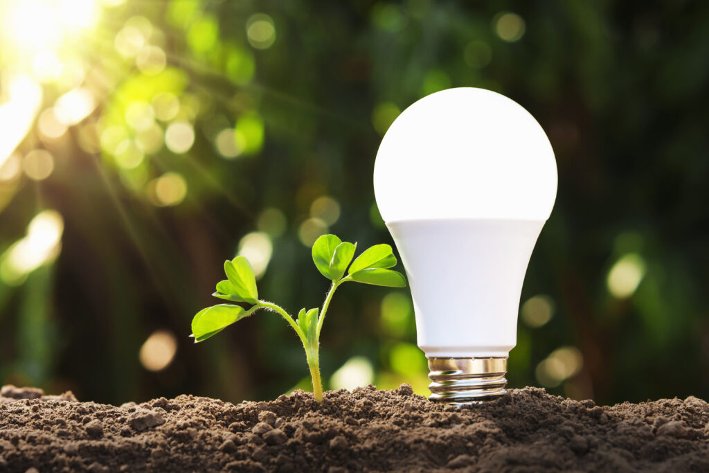 LED bulb in soil with plant, representing that they are a green product 